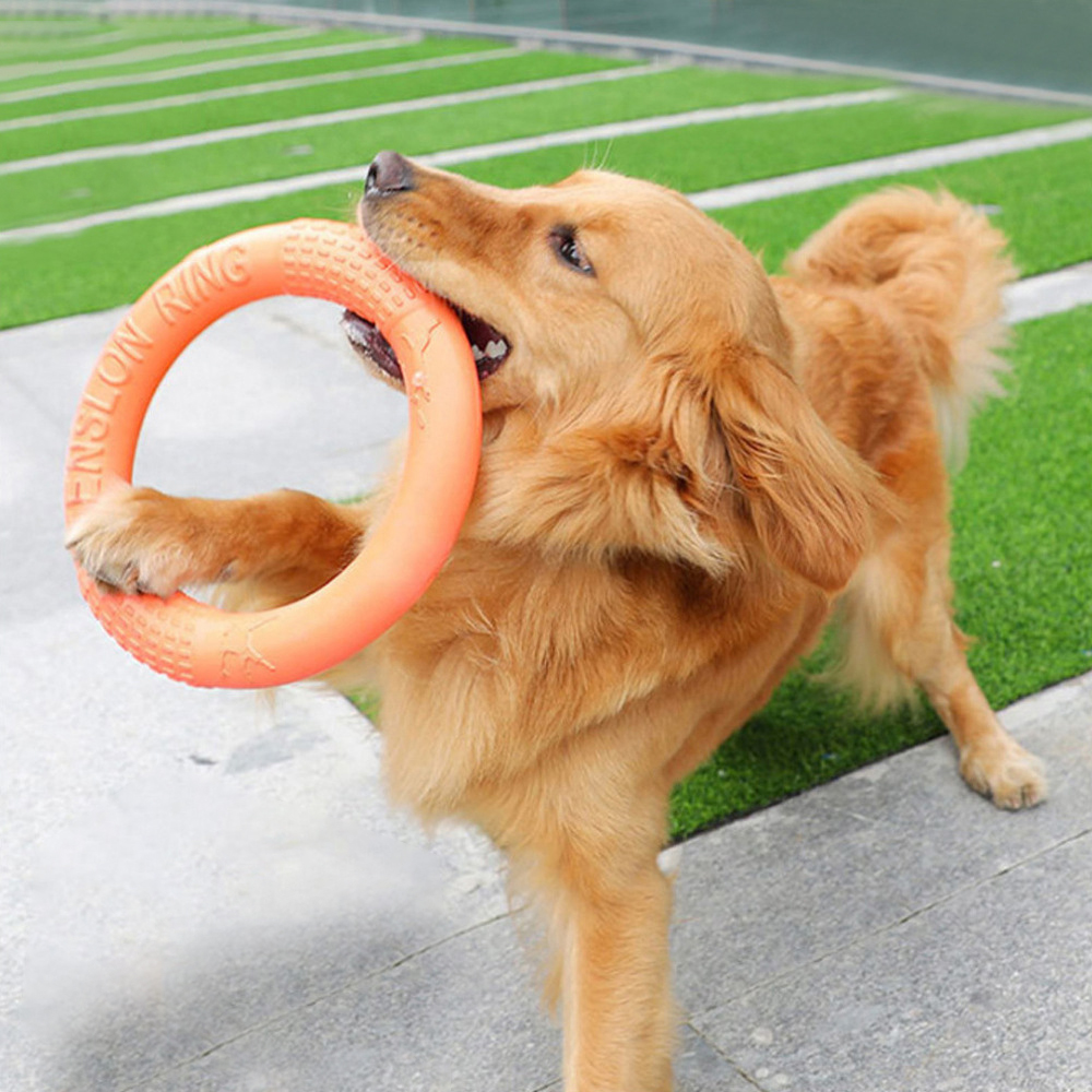 Flying Disc Dog Training Toy - Tirador de anillo de entrenamiento interactivo