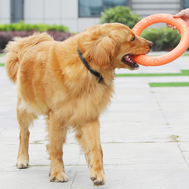 Tirador de anillo de entrenami - Flying Disc Dog Training Toy reseña y precio