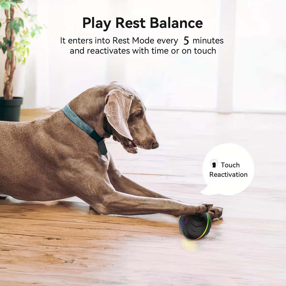 Juguetes Interactivos Intelige - Automatic Moving Dog Ball reseña y precio