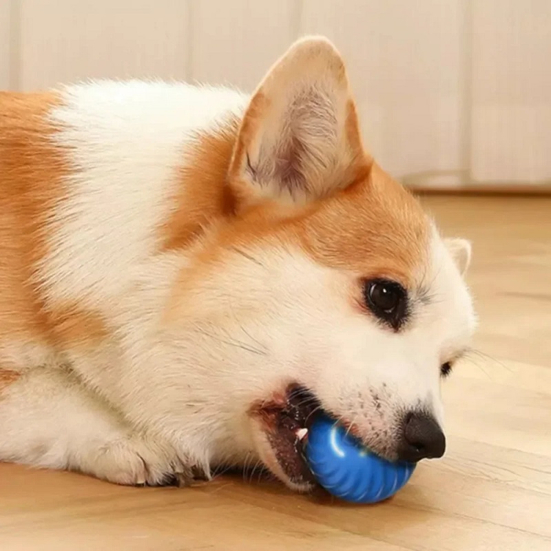 Pelota de Juguete para Perros, - Automatic Moving Dog Ball reseña y precio