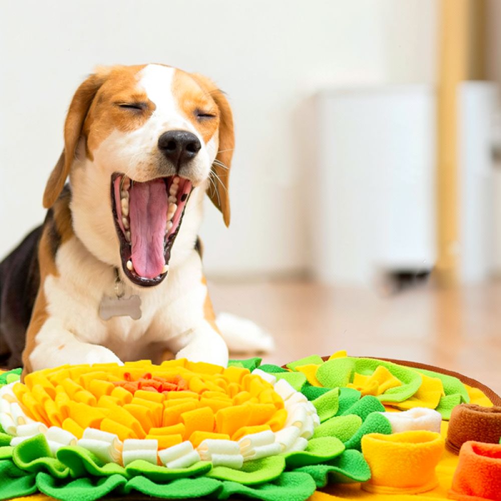 Alfombra olfativa para perros  - Dog Puzzle Feeder Toy reseña y precio